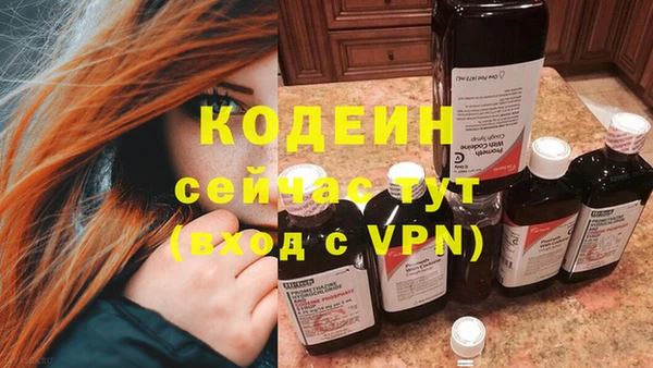 прущие грибы Богданович