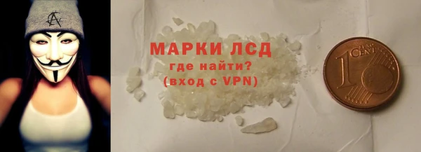 прущие грибы Богданович