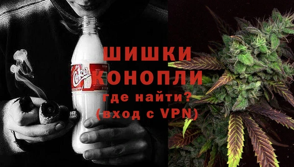 прущие грибы Богданович